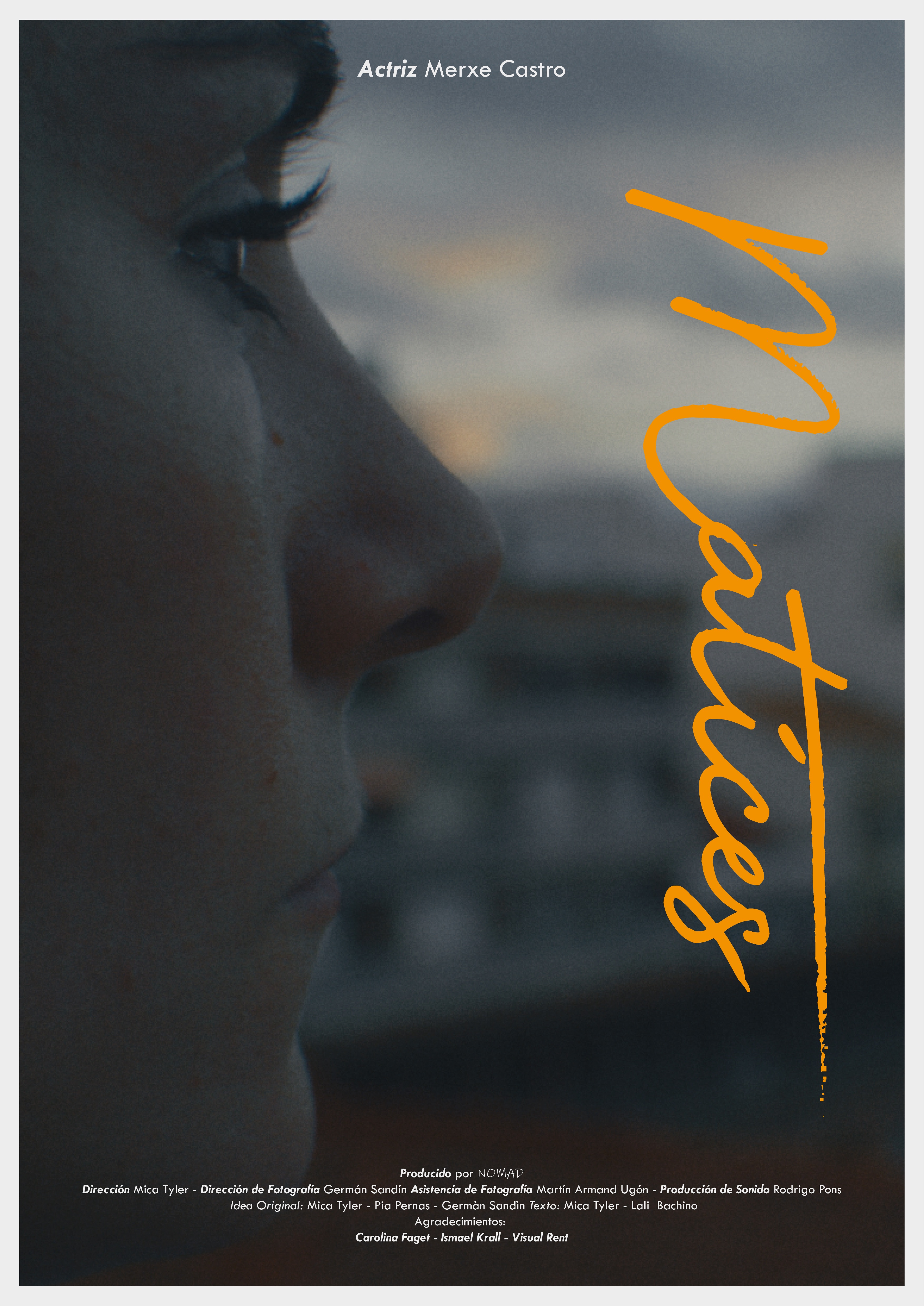 Poster de Matices