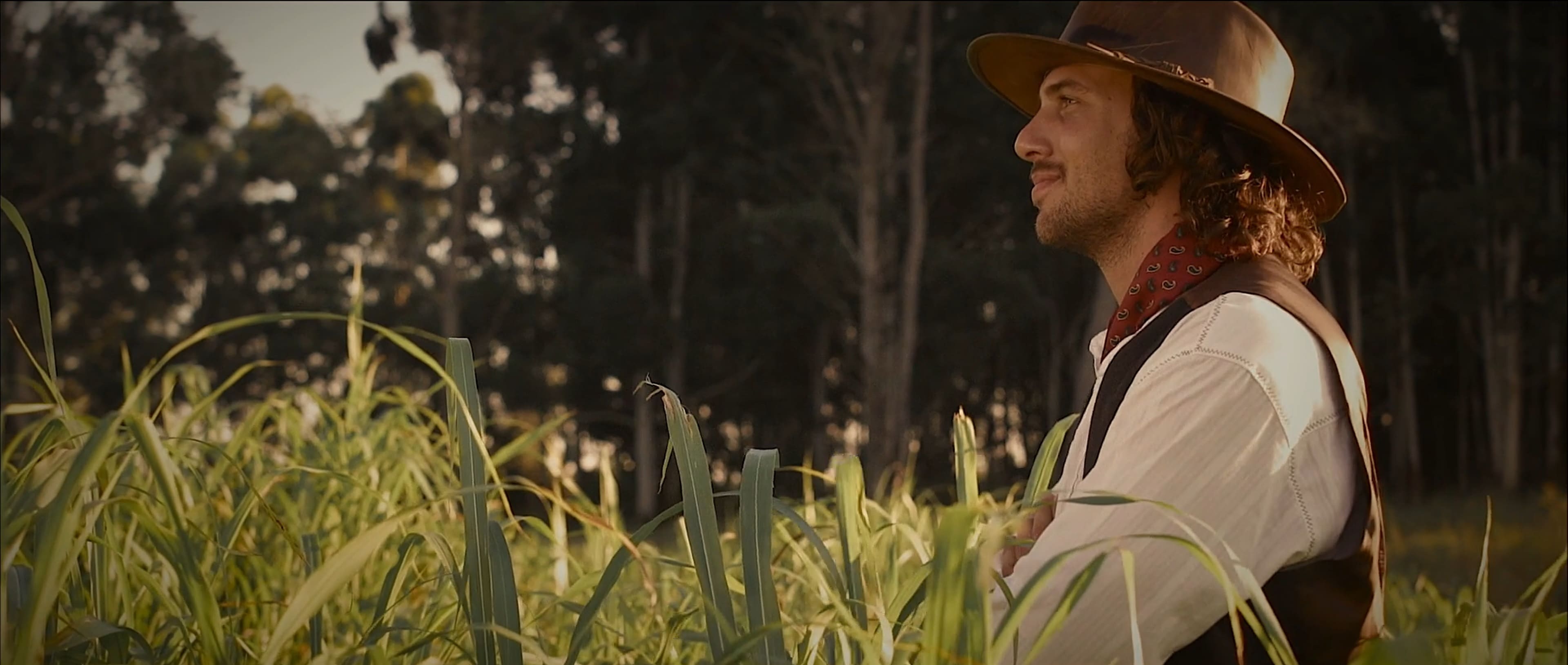 TocoParaVos Still